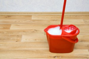 A red mop in a bucket